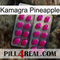 Kamagra Pineapple 10